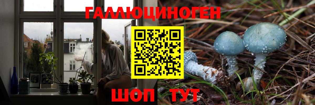 Псилоцибиновые грибы MAGIC MUSHROOMS  Вход с VPN  Галлюциногенные грибы Psilocybe  Муравленко 