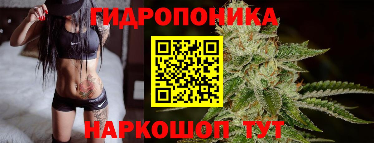 Конопля индика  МАРИХУАНА марихуана  Канабис LSD WEED  Муравленко  Марихуана марихуана  Вход с VPN 